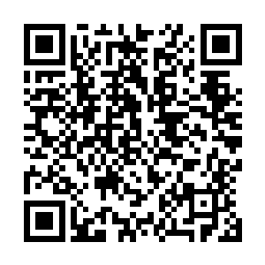 在发现了乔治他们这几个学徒非但不是什么没有后台的肥羊二维码生成