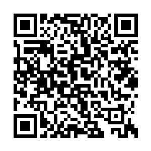 在发现了房间里只有叶秋一个人的时候下了一年二维码生成