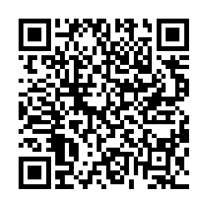 在另外两名拥有高级大圣者的护卫保护下快速的逃离了这里二维码生成