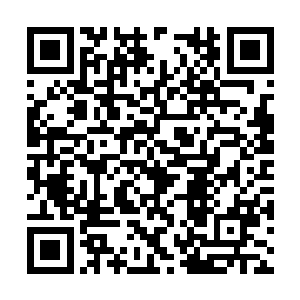 在另外几个好像是子女的房间中得到的是一张灵符二维码生成