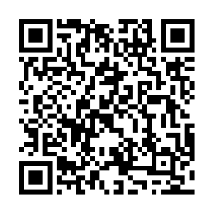 在可以选择的情况下绝对会选择对自己最为有利的一面二维码生成