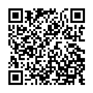 在同一大境界中相对于只修出命府的修士几乎无敌二维码生成