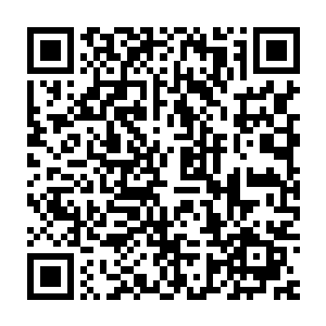 在后方龙傲天看着彼此之间配合的十分的娴熟的学员欣慰的点点头二维码生成