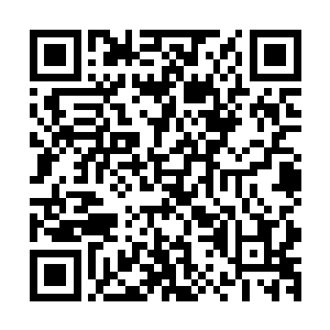 在后来加入的水手们心中的地位隐隐有越过他们三兄弟之势态二维码生成