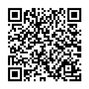 在听到南疆元极山现大荒门洞天和时间之塔的时候二维码生成