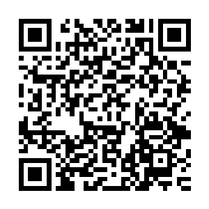 在听到叶凡竟然将如此重要的任务将给自己而不给黄小牙之后二维码生成