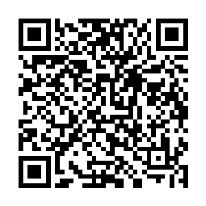 在听到苏落和南宫流云联手将家族声望刷上五百点后二维码生成