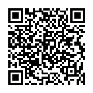 在听到这红衣男子声音的一瞬间便已经做好了防御的姿势二维码生成