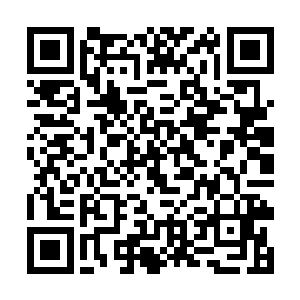 在吴家的弟子队伍前面站着的队长是吴蒙的儿子吴天二维码生成