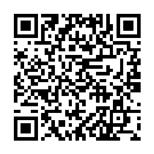 在和长阳青云风大战的长阳祖云霄仰天发出一声怒吼二维码生成