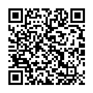 在哪儿来的一群骗子敢说自己是国际中医药联盟的秘书长二维码生成