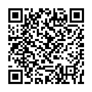 在商业策略的讨论上她已经跟得上切萨雷的思路二维码生成