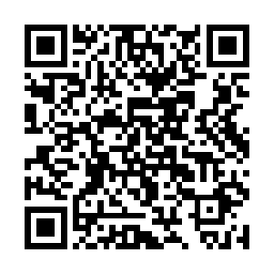 在喵小的平静脸被影响的终于出现一点点细微变化后二维码生成