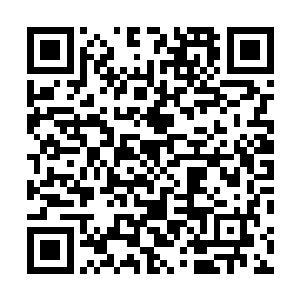 在回味汤的味道的同时还不忘记叮嘱他们一天最多喝两碗二维码生成