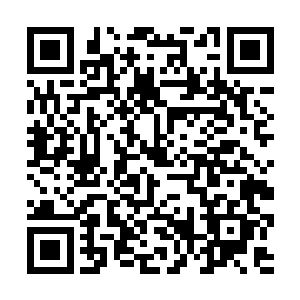 在团省委只工作了两年就被花幼兰拎到了身边当秘书二维码生成