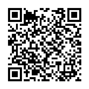 在国会大厦后面每天有游船公司协办的泰晤士河游二维码生成