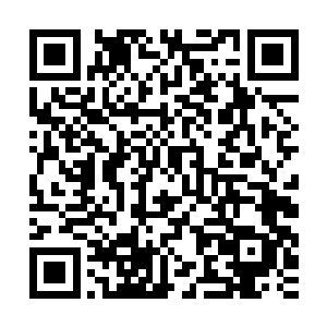 在国内得到消息的方灵颖牟晨菲她们是绝对要一起过来看热闹的二维码生成