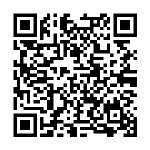 在地上摸爬滚打都不会伤到皮肤的高密织复合材质二维码生成