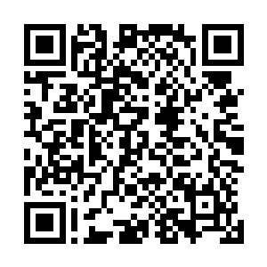 在地球上黑猩猩的基因还跟人类相似度达到了百分之九十八二维码生成