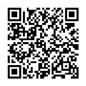 在地球的两极之上……确实是没有东南西北的方向区分的二维码生成