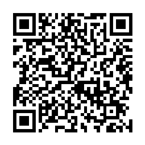 在场不少和云松子同样想法的人也是又一次打量起了钱多多二维码生成