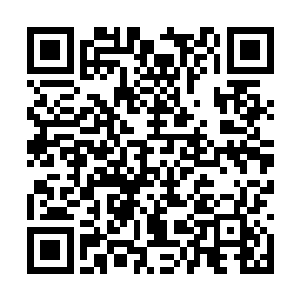 在场众人身后的影子也仿佛受到了某种力量的影响二维码生成