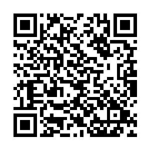 在场众人都已经拿出了压箱底的本事来对付这三足金乌二维码生成