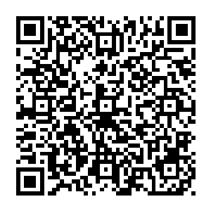 在场其他人几乎是不敢相信这样一个清丽少女带着清淡的笑容说出如此血腥的话语二维码生成