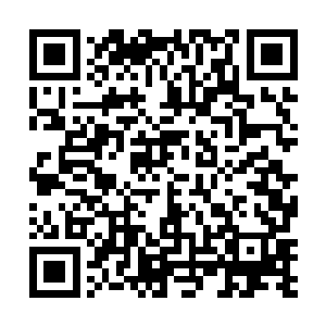 在场几乎绝大多数的人脸上都浮现出了不可置信的神色二维码生成