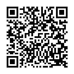 在场就有很多的人都有亲人和朋友被魔尊重楼残忍杀害的二维码生成