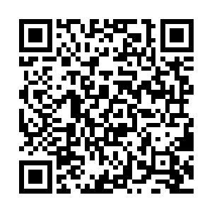 在场心肠好一点的人用同情地目光看着逃窜的容世豪二维码生成