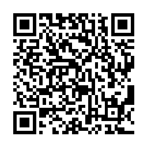 在场所有人只能看到两人附近的空气一阵模糊和扭曲二维码生成