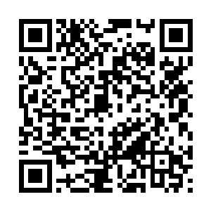 在场的世家的门派的人在这一刻全都屏息以待起来二维码生成