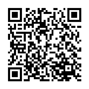 在场的人似乎都已经看到赵纯良血染主席台的样子了二维码生成