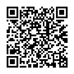在场的任何人都不知道他们到底来这里是要做什么二维码生成