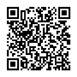 在场的众人之中哪一个不是活了无数年的老狐狸二维码生成