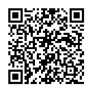 在场的很多人都将李芳菲跟故事里的人对应起来二维码生成