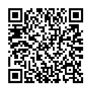 在场的所有人同时由惊愕变成了彻头彻尾的震惊二维码生成