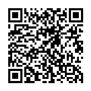 在场的所有人就没有一个考虑过炼制药丹的过程有没有差错二维码生成