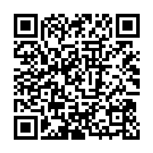 在场的所有人都能够闻到一股浓重的鄙视的味道二维码生成