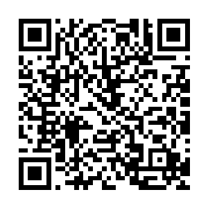 在场的所有人都被眼前这神乎其技的一幕给弄得倒抽一口凉气二维码生成