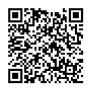 在场的每一个人的都能感受到一股庞大的威压袭来二维码生成