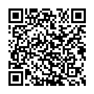在场的生物只有严默一个人听懂了胡莲在说什么二维码生成