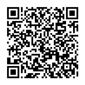 在场诸人除了以前引用过这生肖酒的数人和修为已经达到不堕境界的少数几人二维码生成