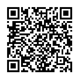 在场这些人目光之中所带的不屑和嘲讽都被收入在他的眼里二维码生成