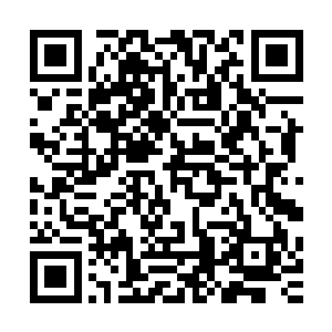 在城堡中一处演武场里看到了正在台上和家中前辈对招的巴炎二维码生成