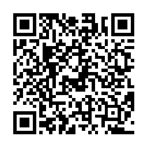 在城外的几个方向不知何处出现了一些悬在空中的绳索二维码生成