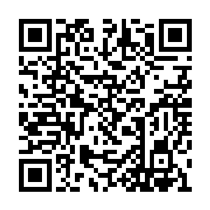 在士壹身旁的士蔚也向士壹投去一个哀怨的眼神二维码生成