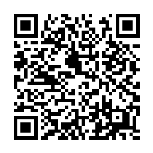 在声音还未完全消散的同时便消失在了众人的眼中二维码生成