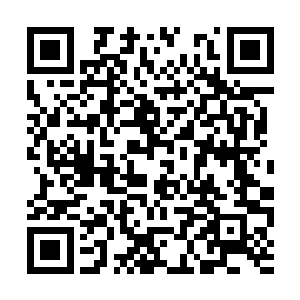 在夏云杰还没有强大到足矣叱咤三千界的境界之前二维码生成